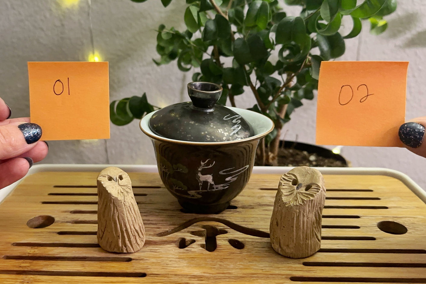 Owl pets 1 and 2