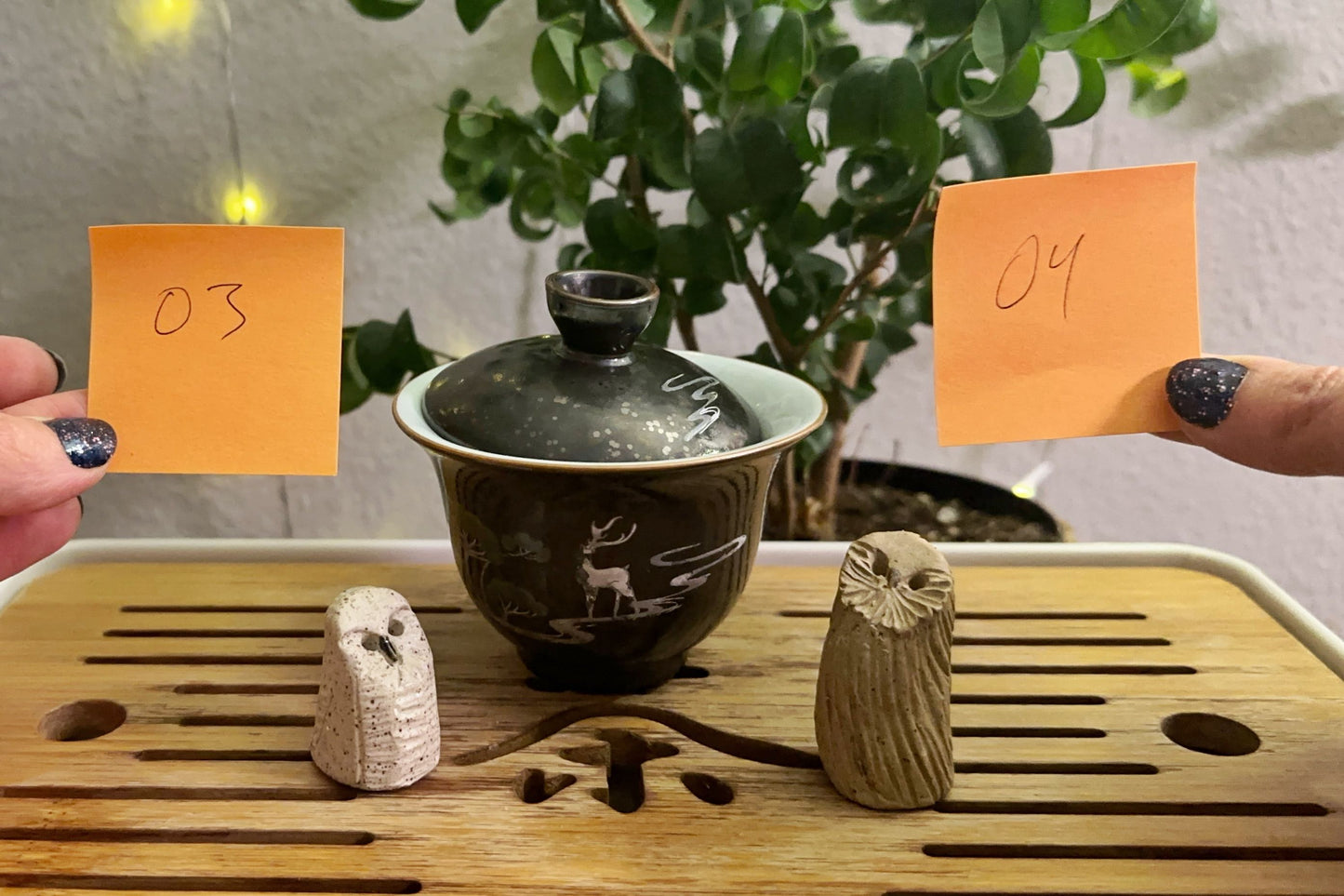 Owl pets 3 and 4