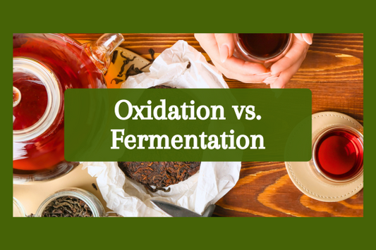 Oxidation vs Fermentation