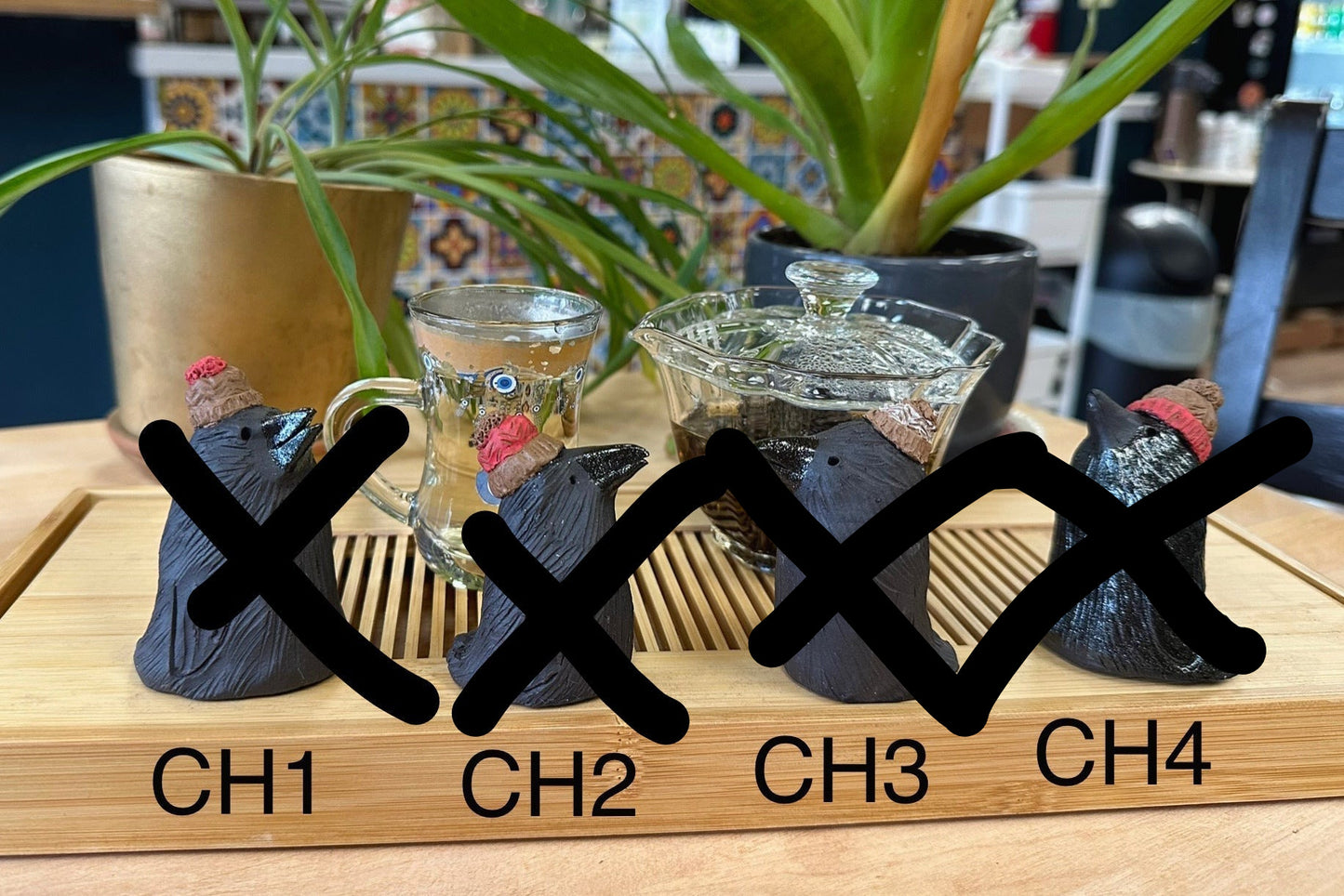 Four crow tea pets with winter hats labeled CH1-CH4
