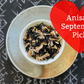 Anisa's September Pick: Allfather