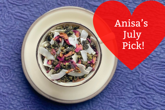 Anisa's July Pick: Swan Prince
