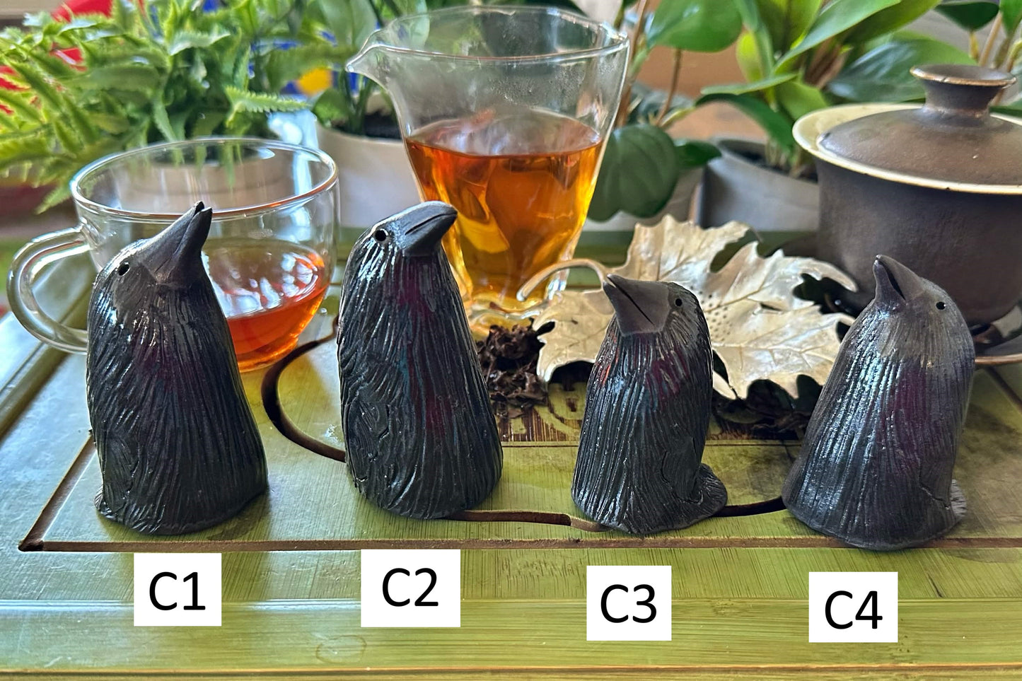 Four crow tea pets labeled C1-C4