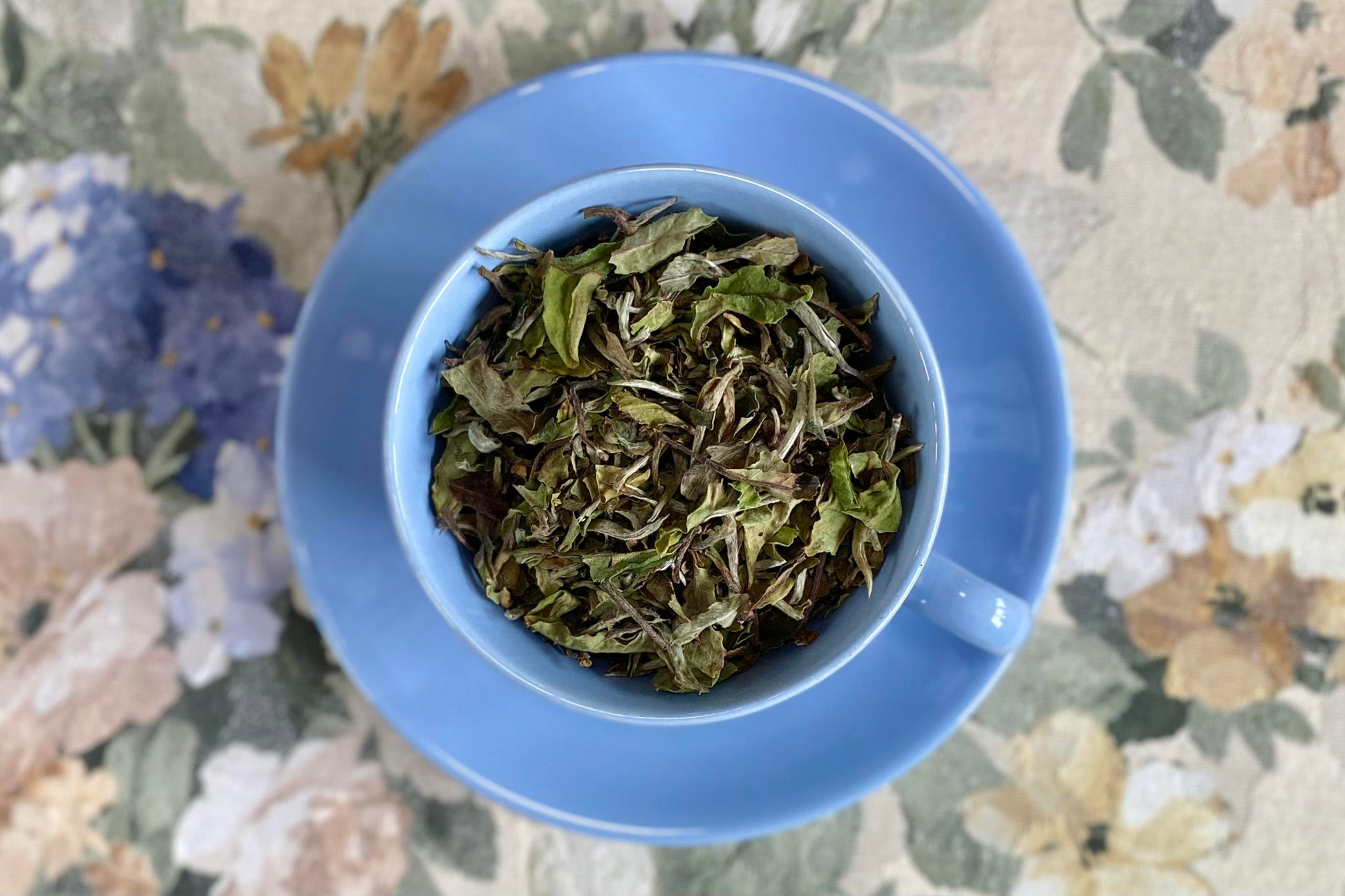 teacup full of white tea