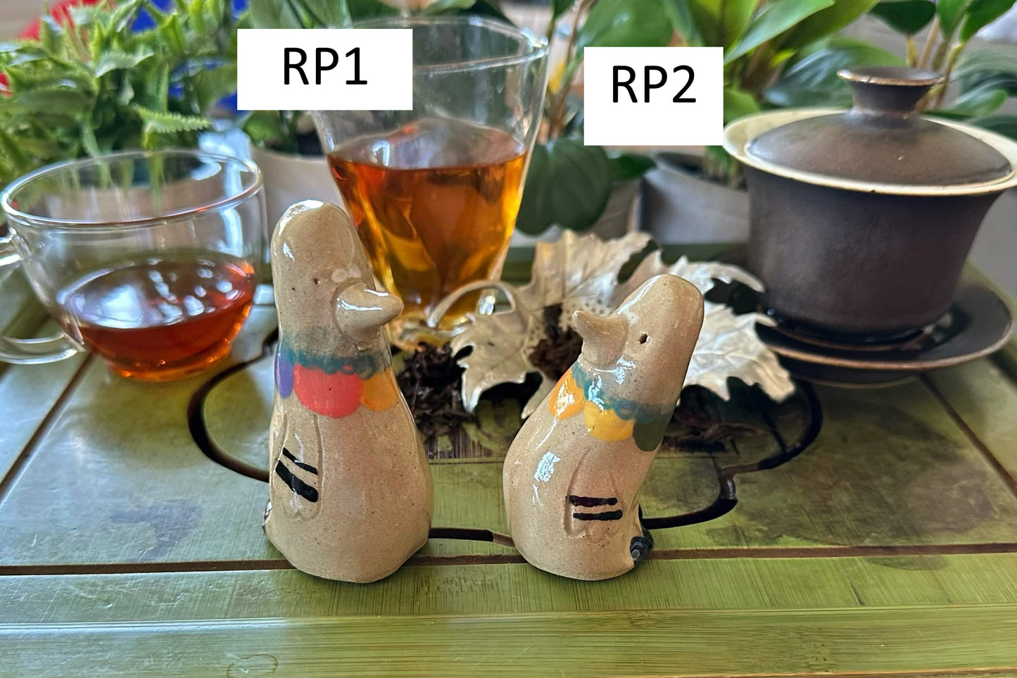 Two pigeon tea pets with rainbow colored ruffs, labeled RP1 and RP2