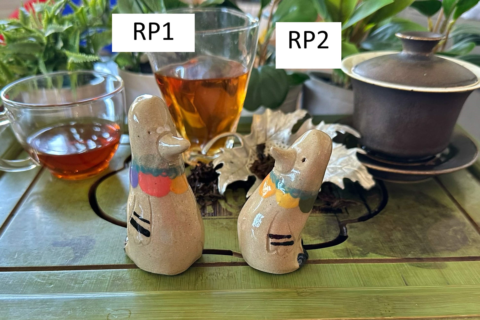 Two pigeon tea pets with rainbow colored ruffs, labeled RP1 and RP2