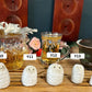 Yeti pets 10-14
