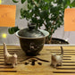 Kitty tea pets 5 & 6