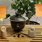 Owl pets 7 and 8